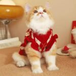 Diamond Puppy Sweater for Small Dog Girl Strawberry Turtleneck Cat Knitwear Winter Pet Clothes for Kitten Chihuahua Yorkie (Small, Red)