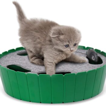 Interactive Cat Toy with Running Mouse, Electronic Motion Cat Toy Automatic Teaser for Indoor Cats, Pop and Play Hide Seek Cat Toy Hunting Mouse for Pet Cat Kitten Play Fun Exercise, Green